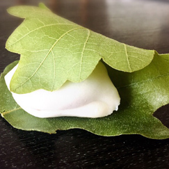 柏餅